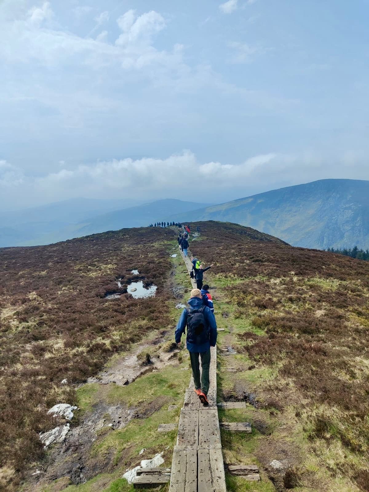 Moorland walking experience